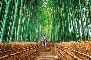 Viaja con nosotros, la agencia de turismo que despierta emociones, 