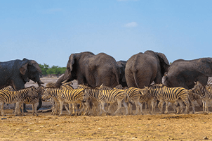 Viaja con nosotros, la agencia de turismo que despierta emociones, 